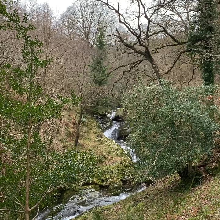 Poulanass Waterfall - Parks Near Me - Co. Wicklow, WW