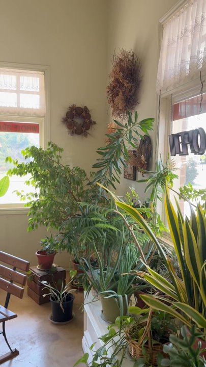 BreadHaus - The atmosphere. - Bakeries Near Me - Grapevine, Texas