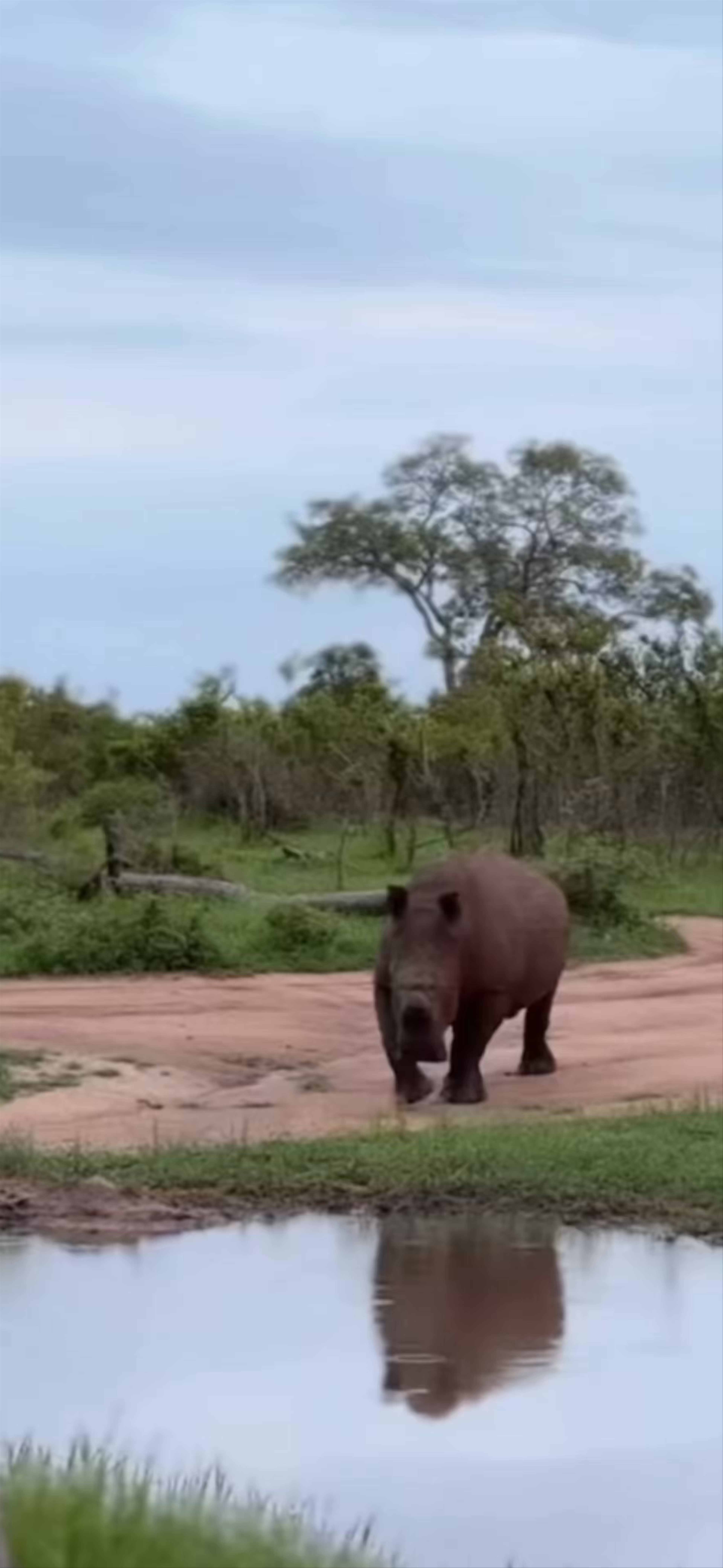 Kruger National Park