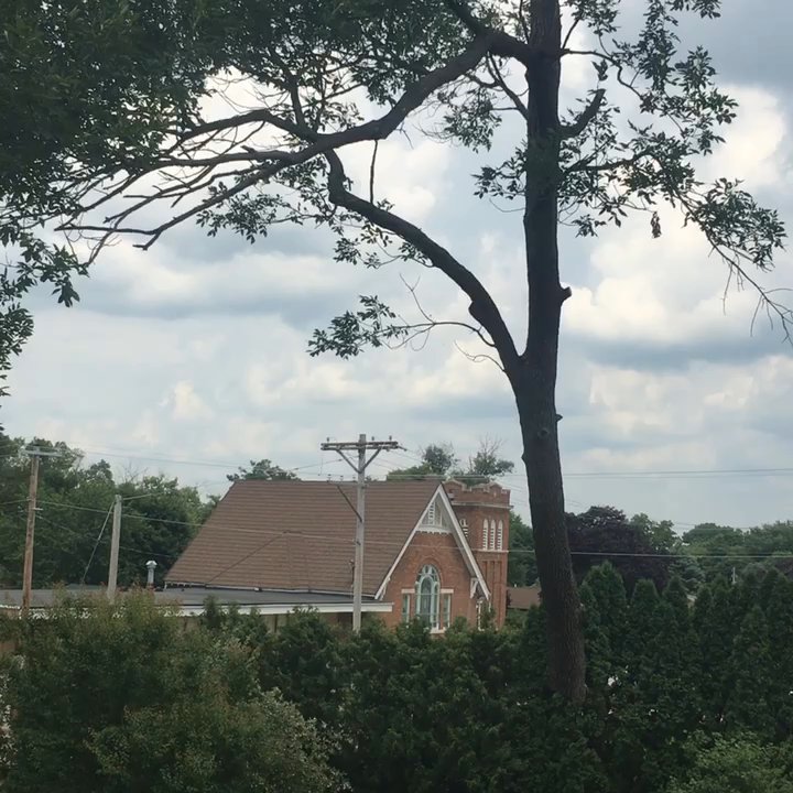 Cy's Tree Service - Picking a large Ash tree limb during a dangerous tree removal over a home. - Tree Services Near Me