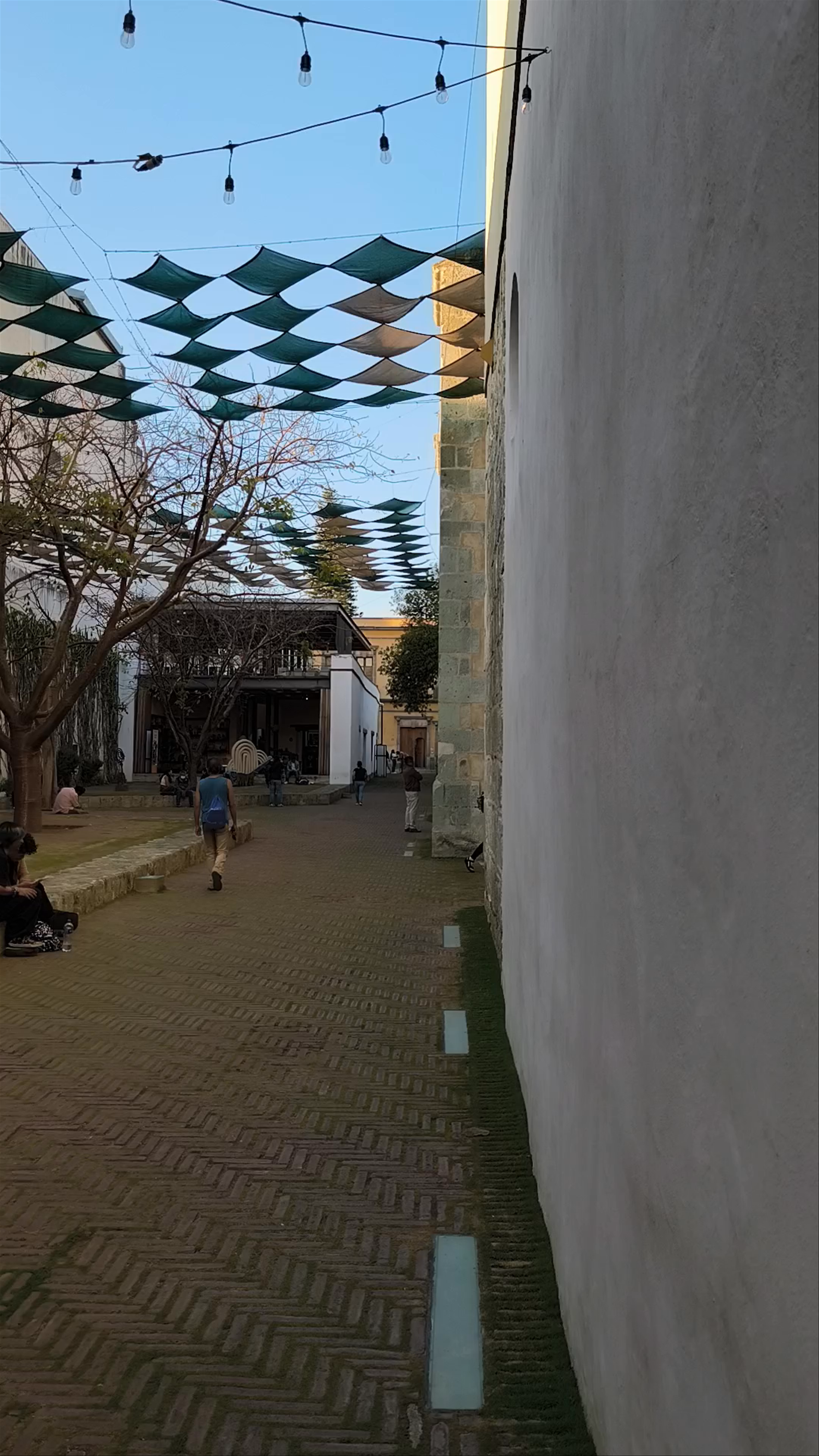 Plaza de los Paraguas: Artistic Haven in Oaxaca de Juárez