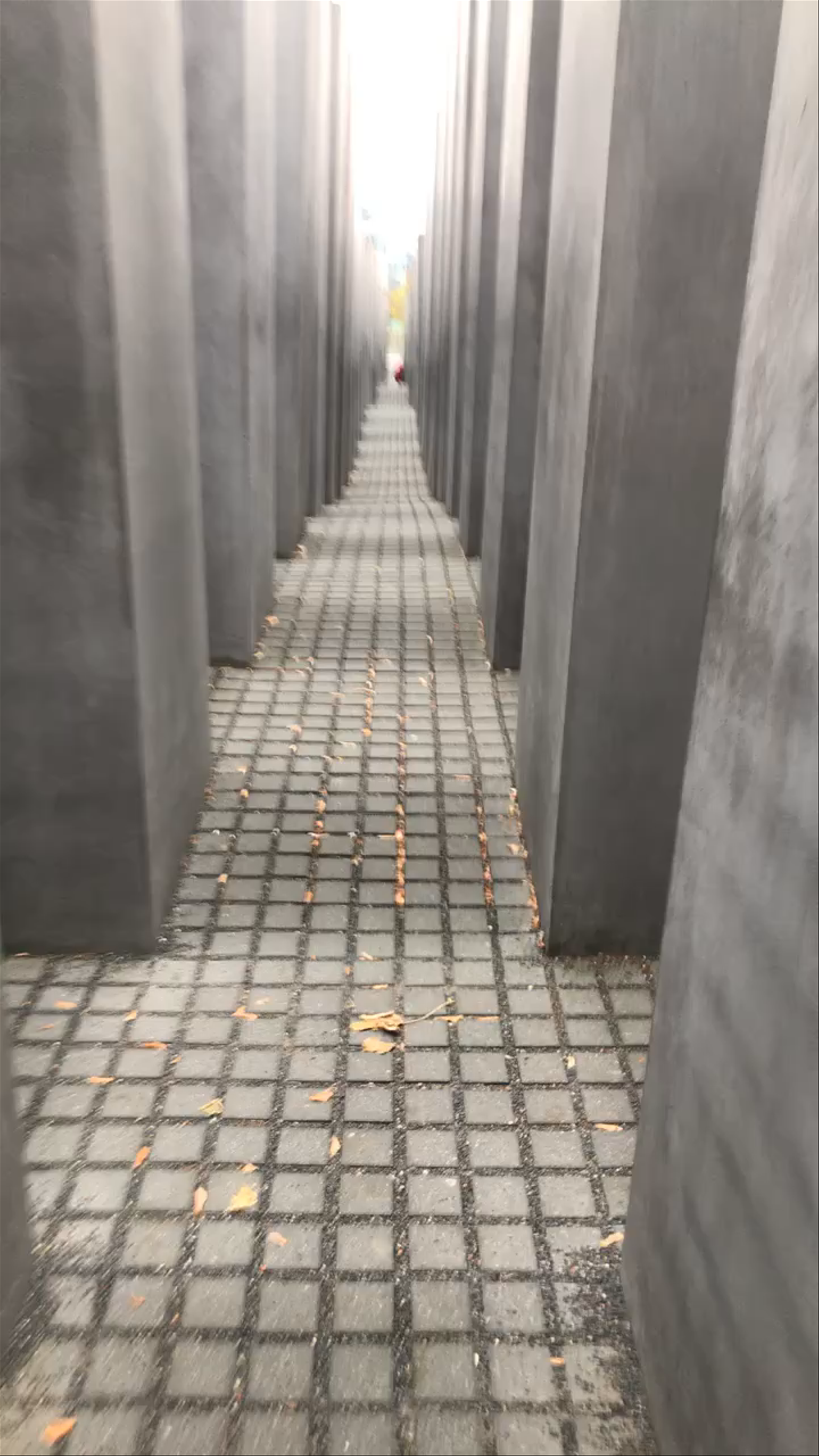 Reflective Journey Through the Memorial to the Murdered Jews of Europe, Berlin