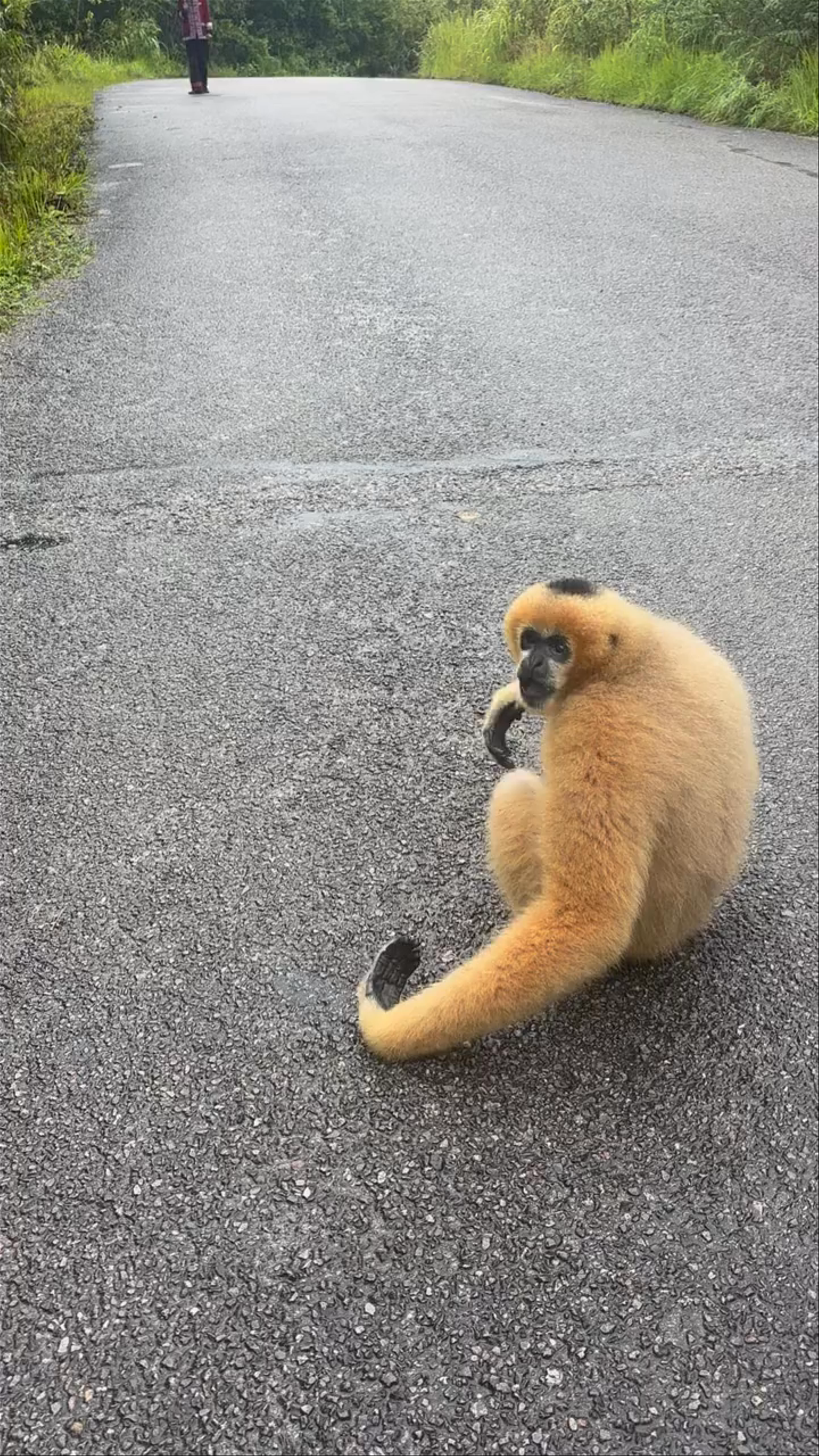 China