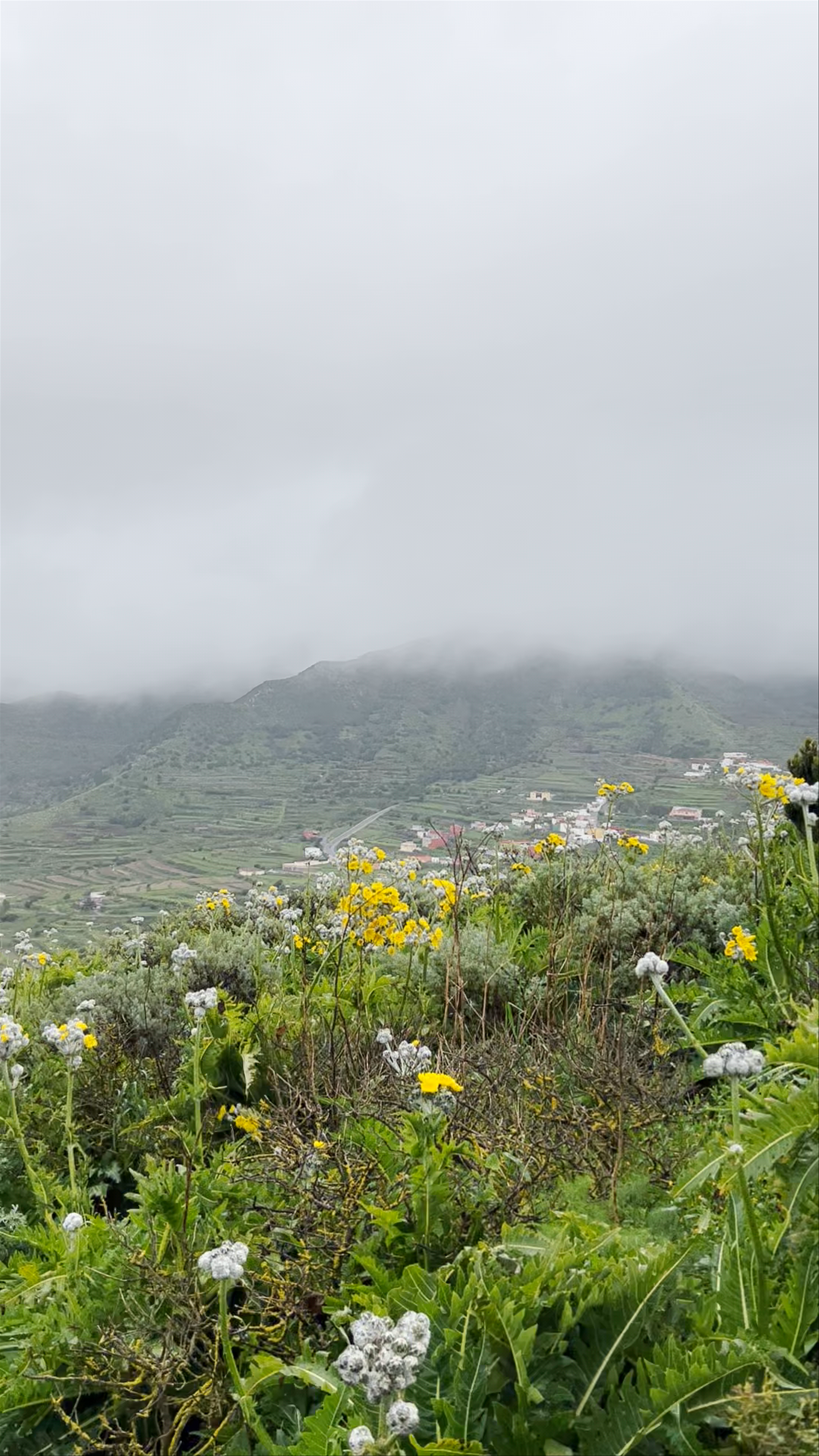 Mirador Altos de Baracán