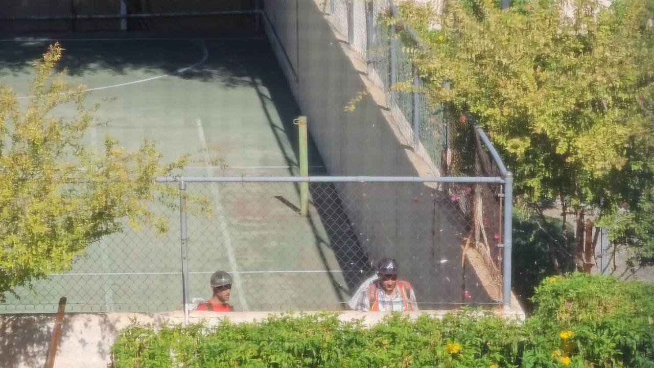 Vision Community Management - Biltmore Garden Condos' HOA hires "landscapers" to blow debris to neighboring rental community. Blatant harassment. - Property Management Near Me - Phoenix, Arizona