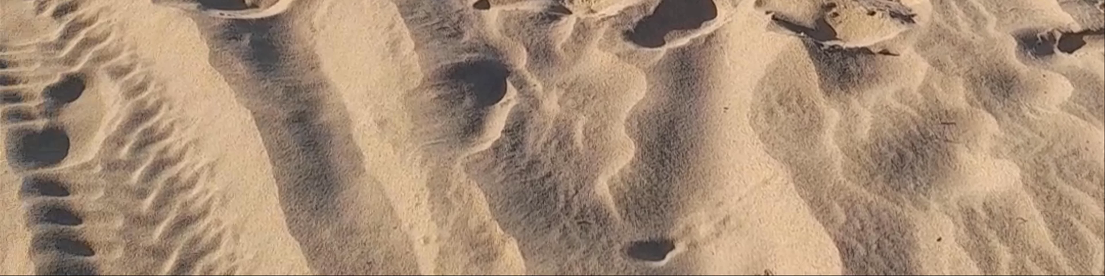 Dune of Sal