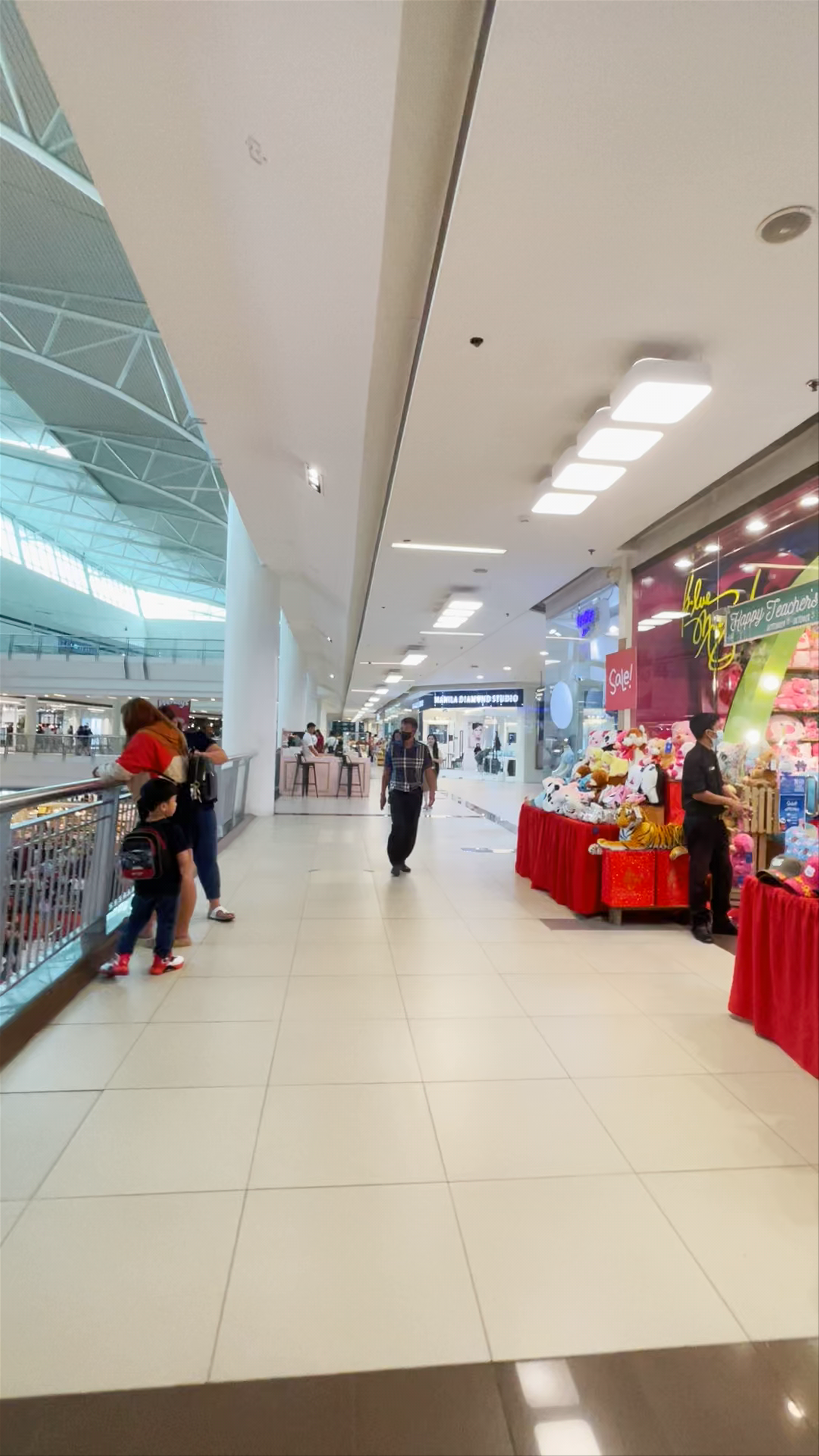 Festival Mall Corporate Avenue