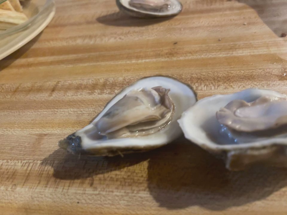 The Troff - It been a while. These are damn good steamed oysters - Seafood Near Me - Eustis, Florida