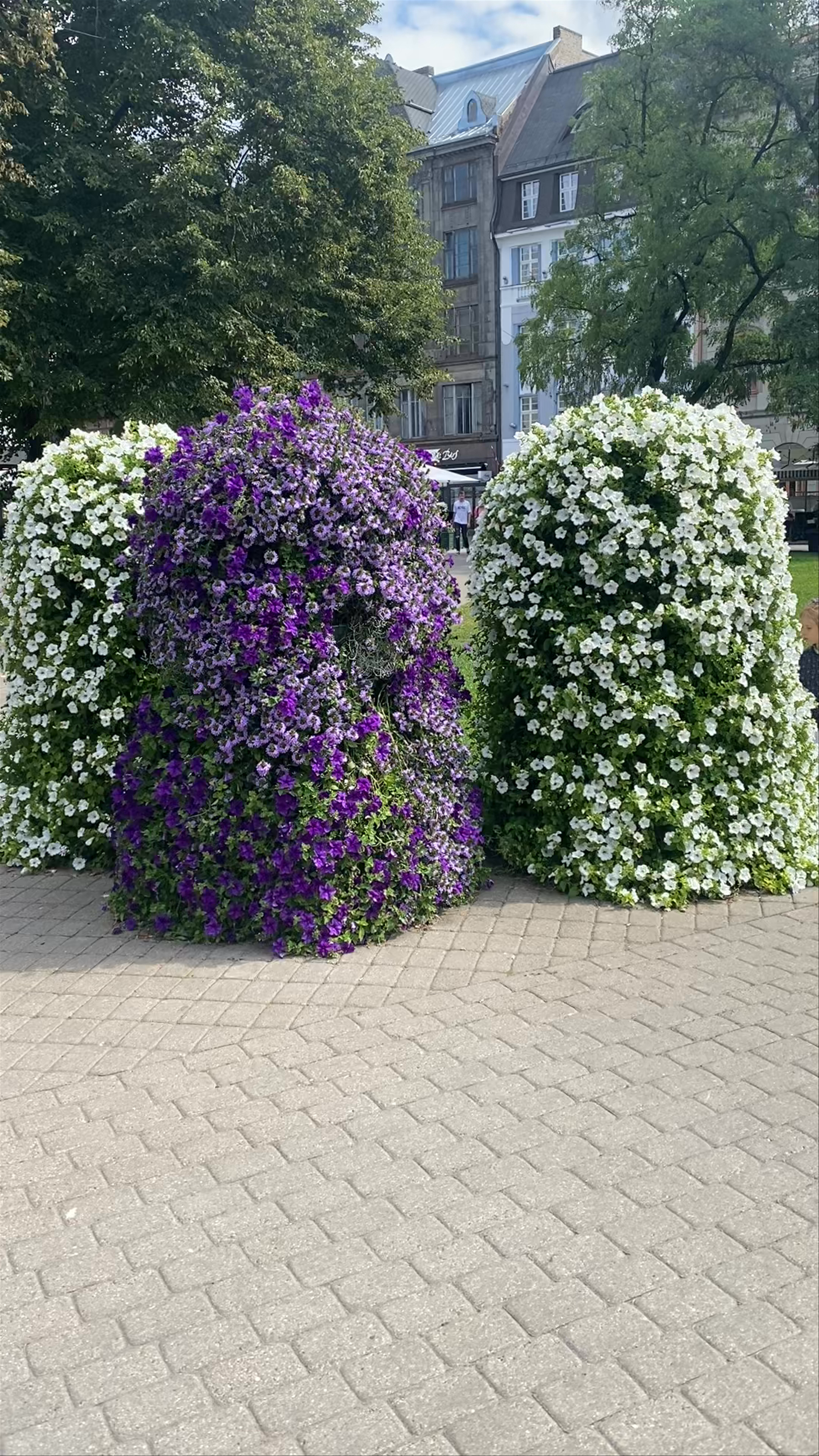 Līvu Square: Blossoming Charm in Riga's Central District