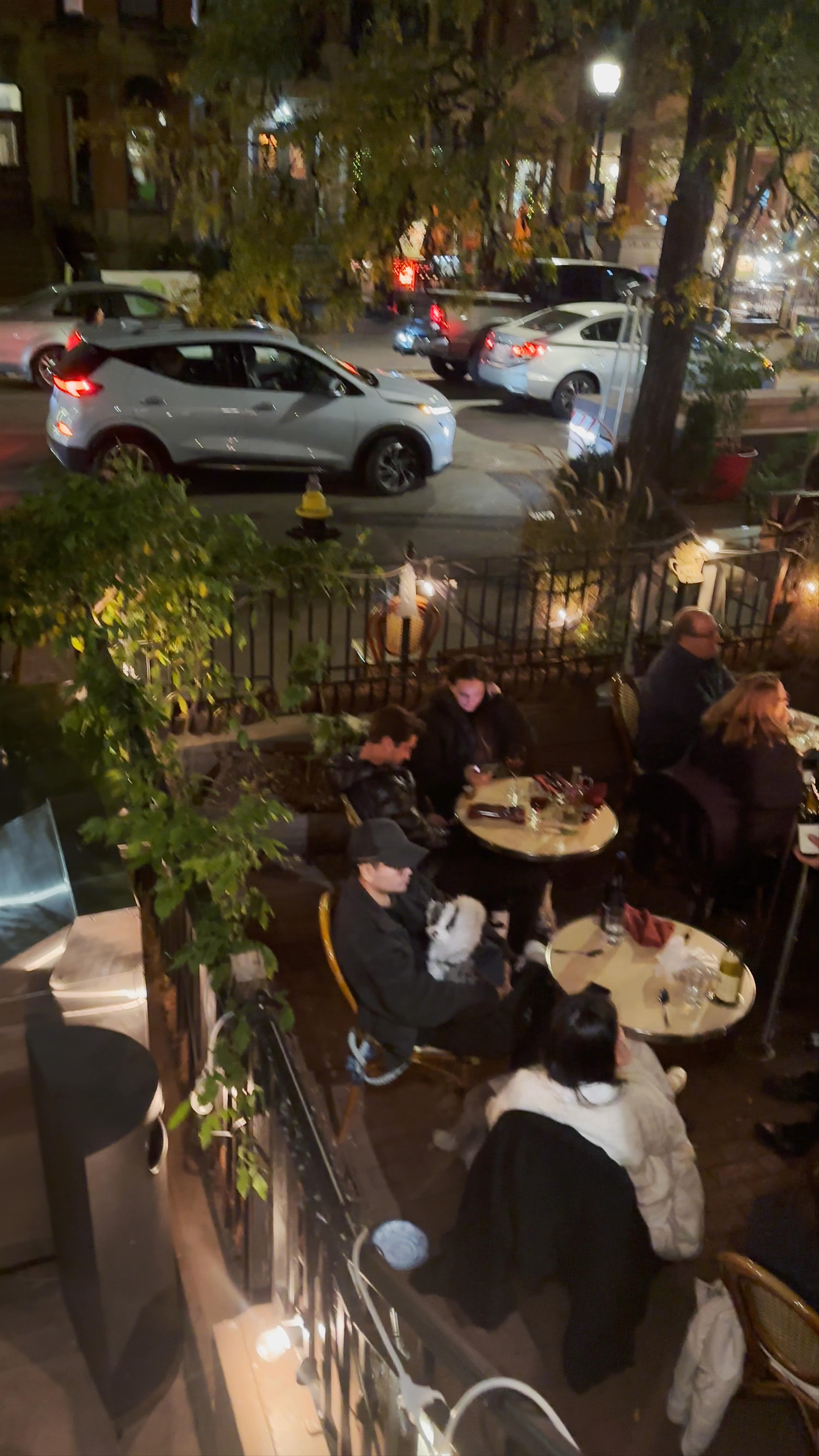 Bar à vin 1855