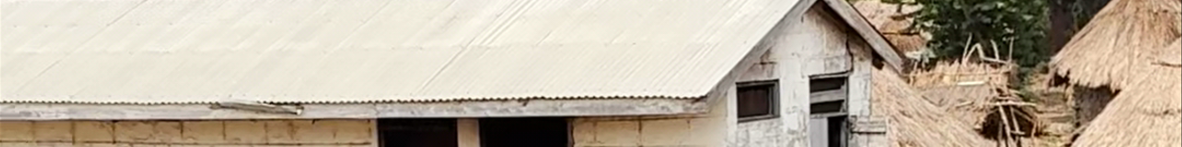 Tours & experiences in Kihihi