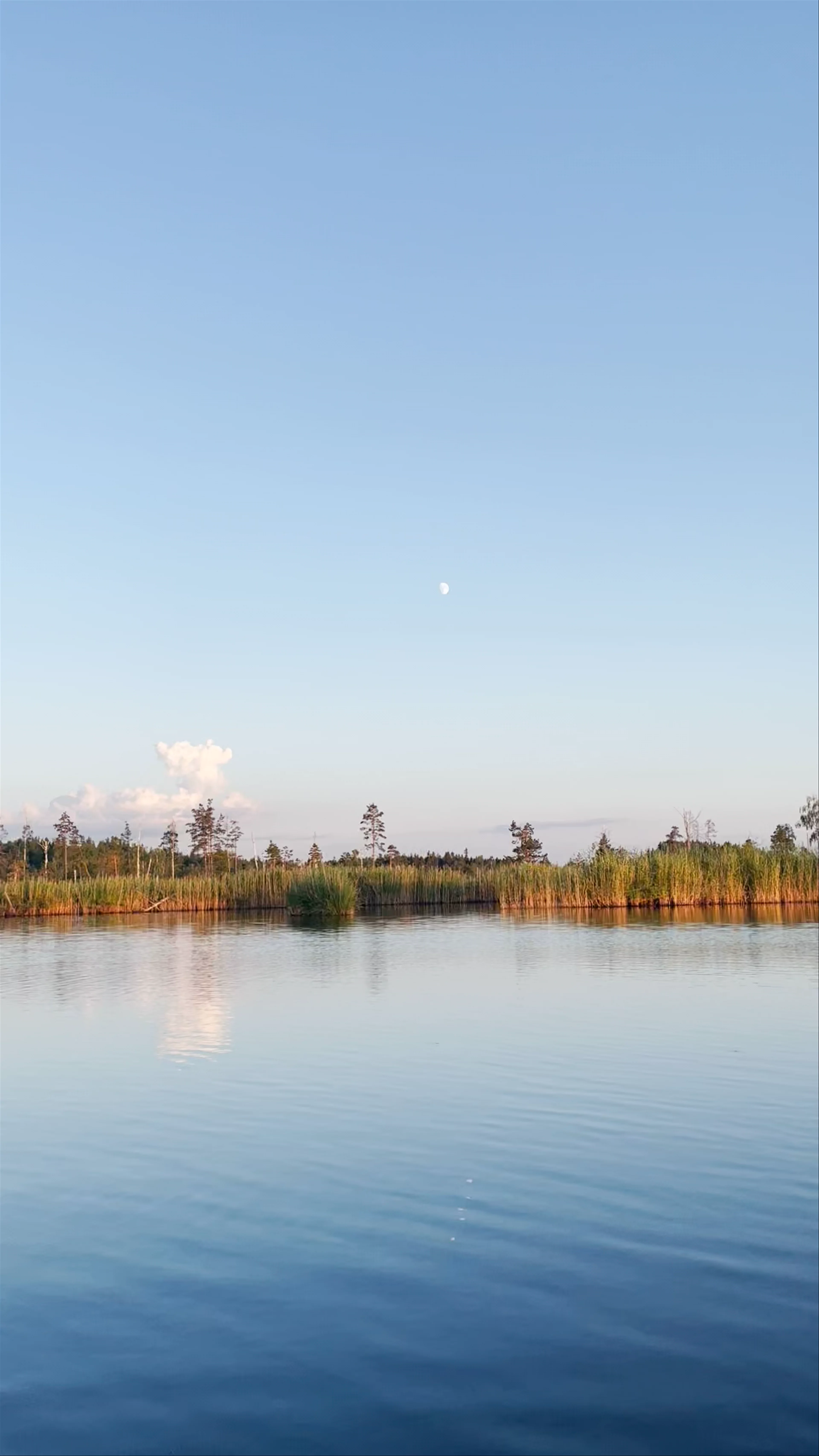 Ķemeri National Park, Meža māja, Jūrmala, Latvia