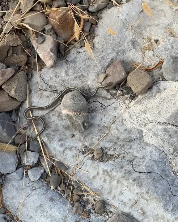 Murphy Ranch Park - Hiking Near Me - Whittier, California