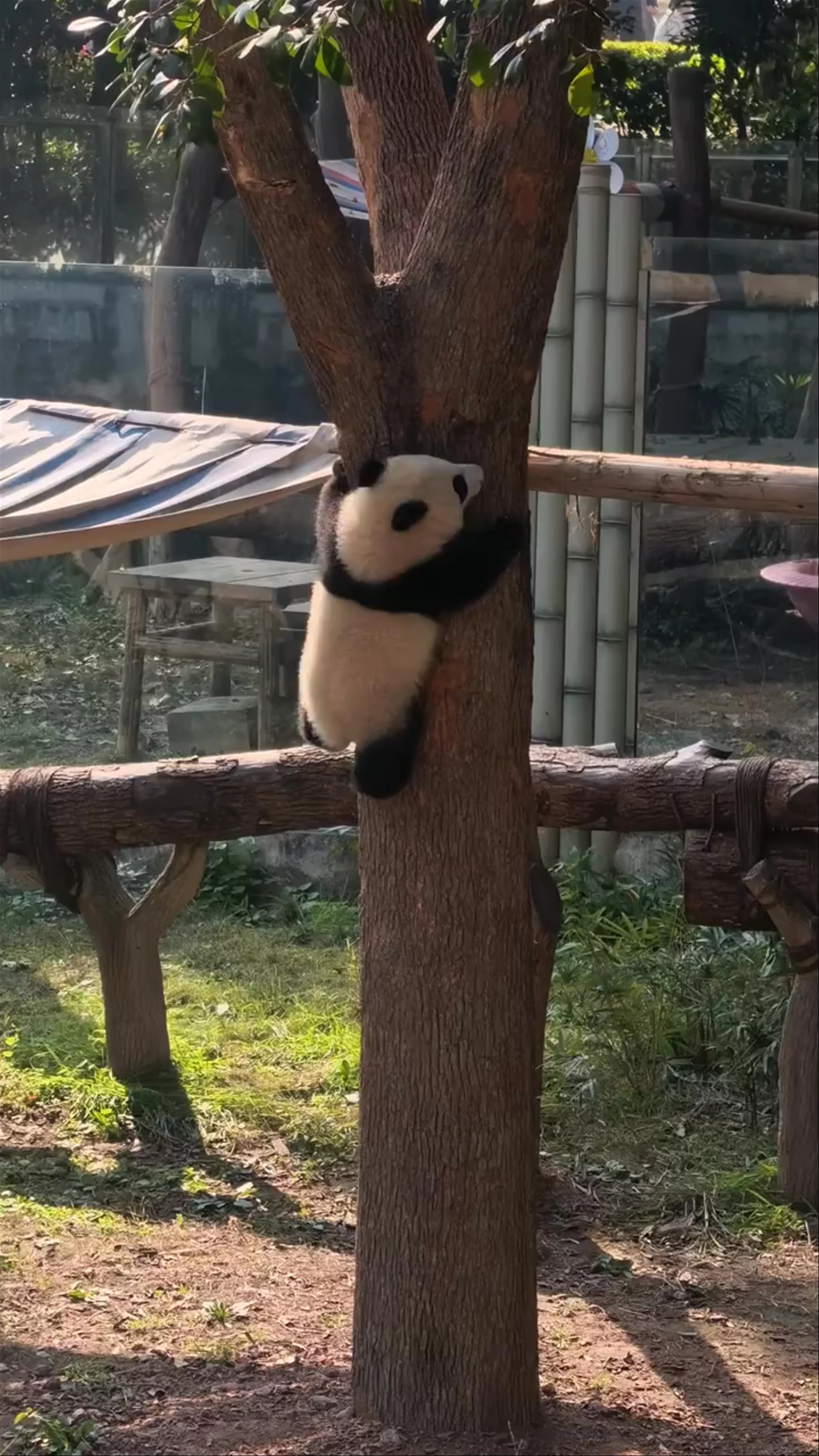Jinan Zoo