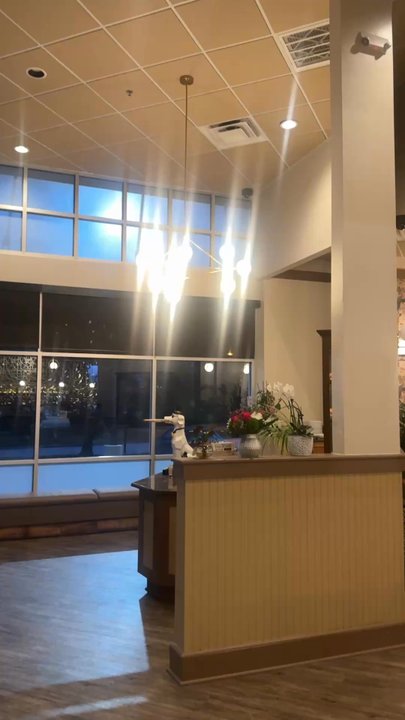 Thai in Town - Interior and atmosphere is pleasant - Seafood Near Me - Southlake, Texas