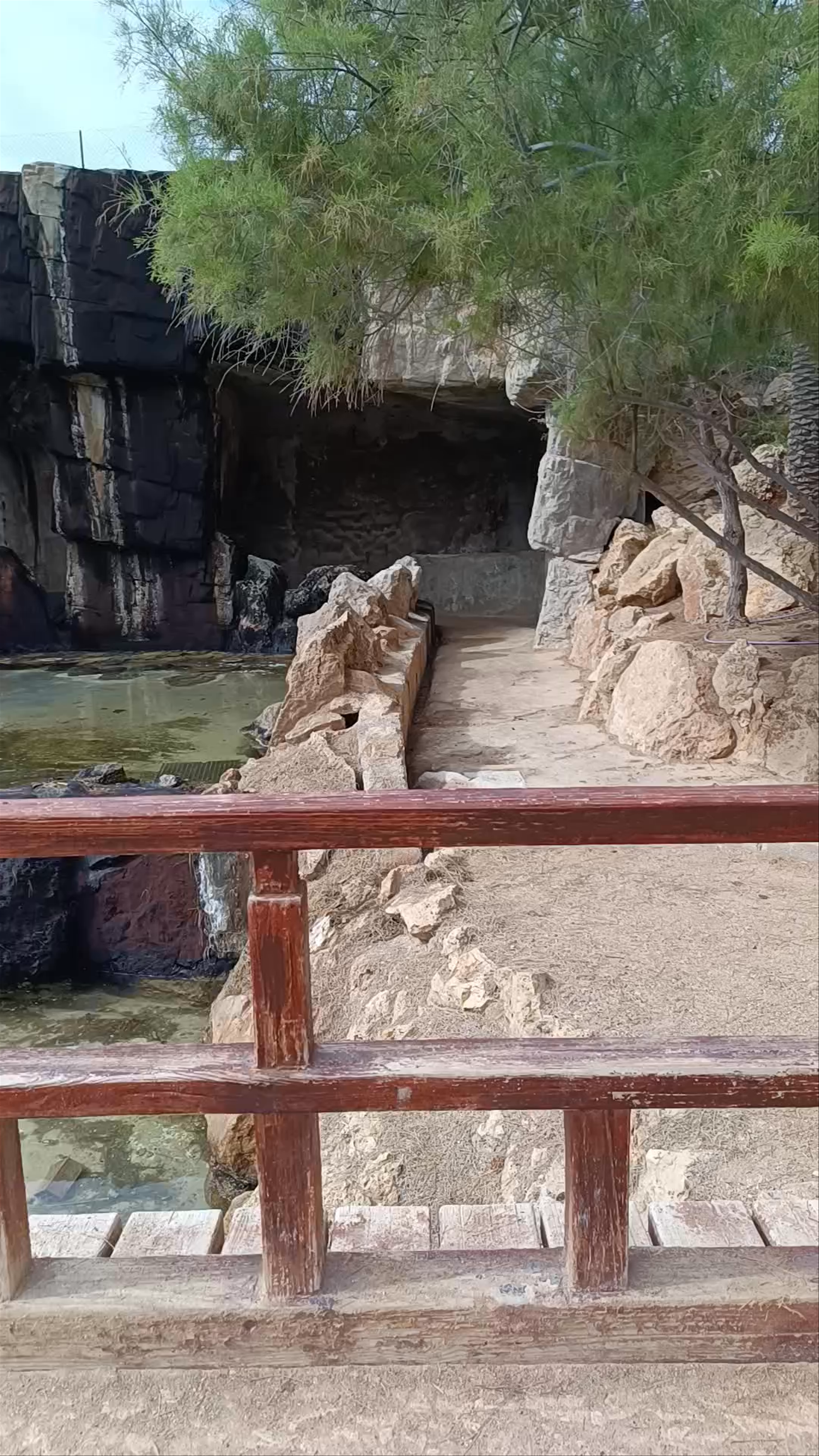 Parque El Palmeral