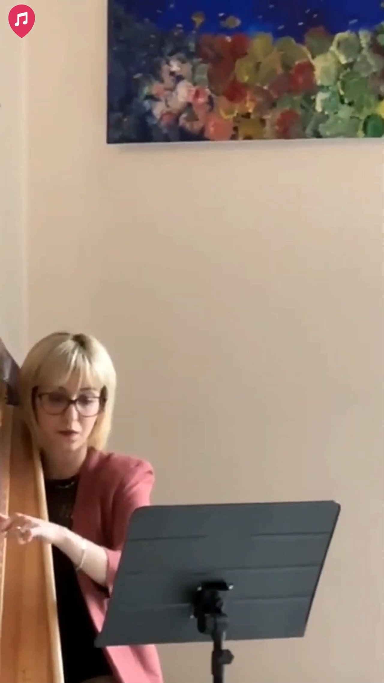 The Lombardy Harpist - Bonus Showreel 2025 - video 2