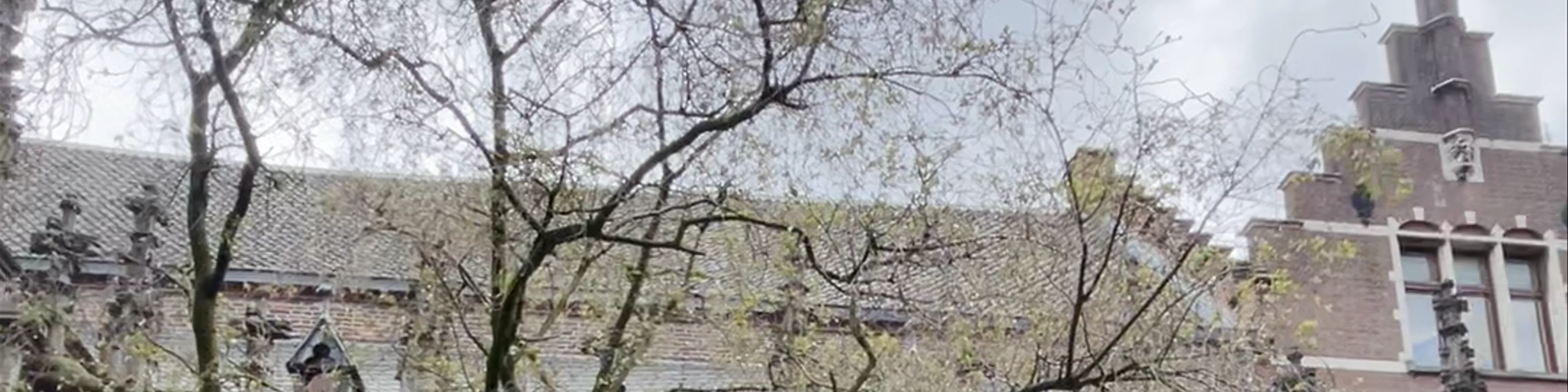 Pandhof van de Dom