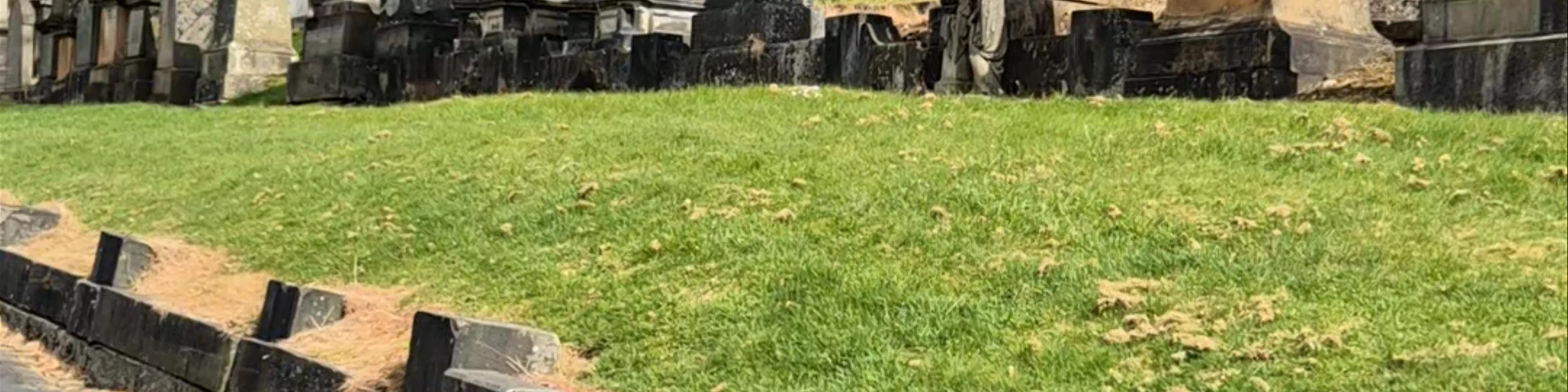Glasgow Necropolis