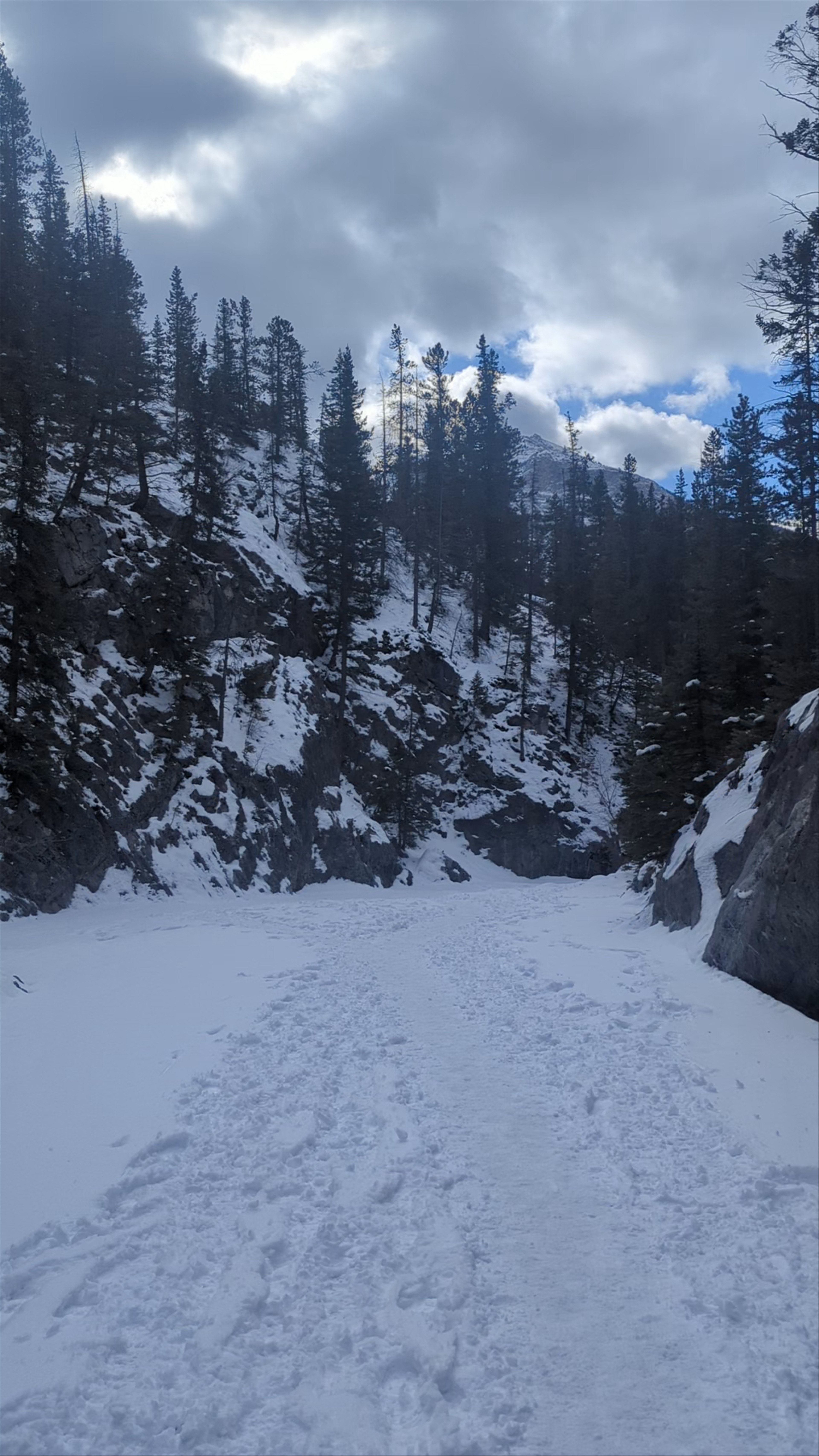 Winter Hike Through Snowy Grotto Canyon Trail Head, Alberta