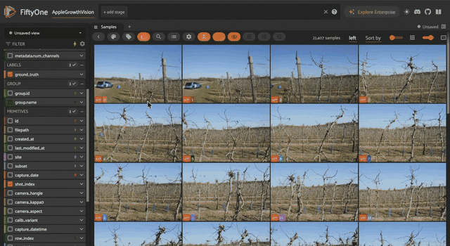 AppleGrowthVision orchard images grouped by stereo left, right, and image slices in the FiftyOne app