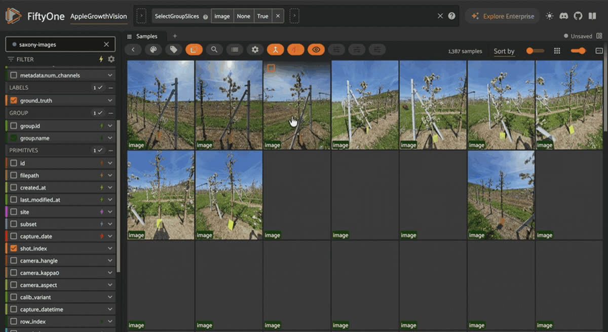AppleGrowthVision orchard images grouped by stereo left, right, and image slices in the FiftyOne app