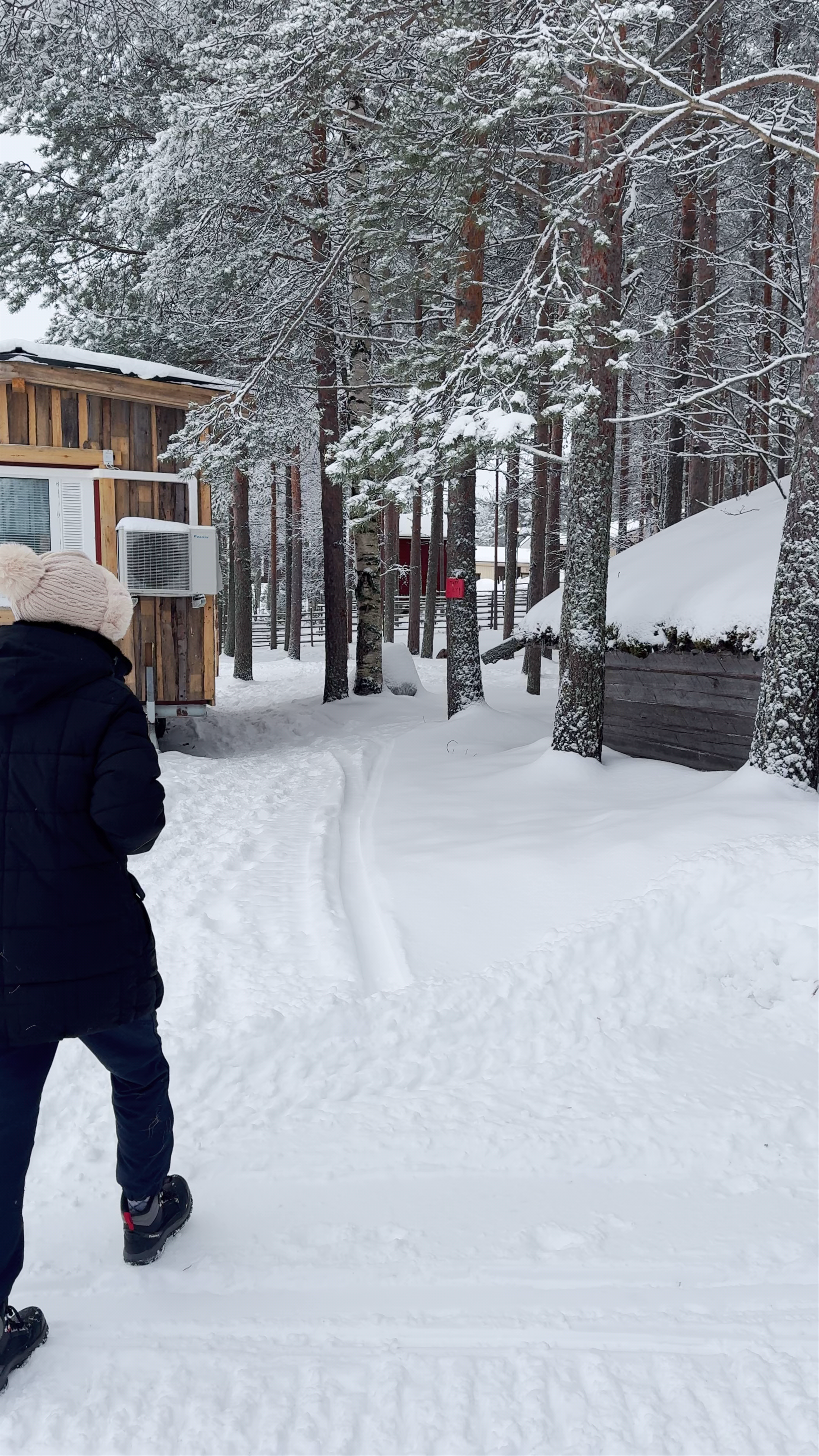 Reindeer Safari Adventure in Wintery Kittilä, Lapland
