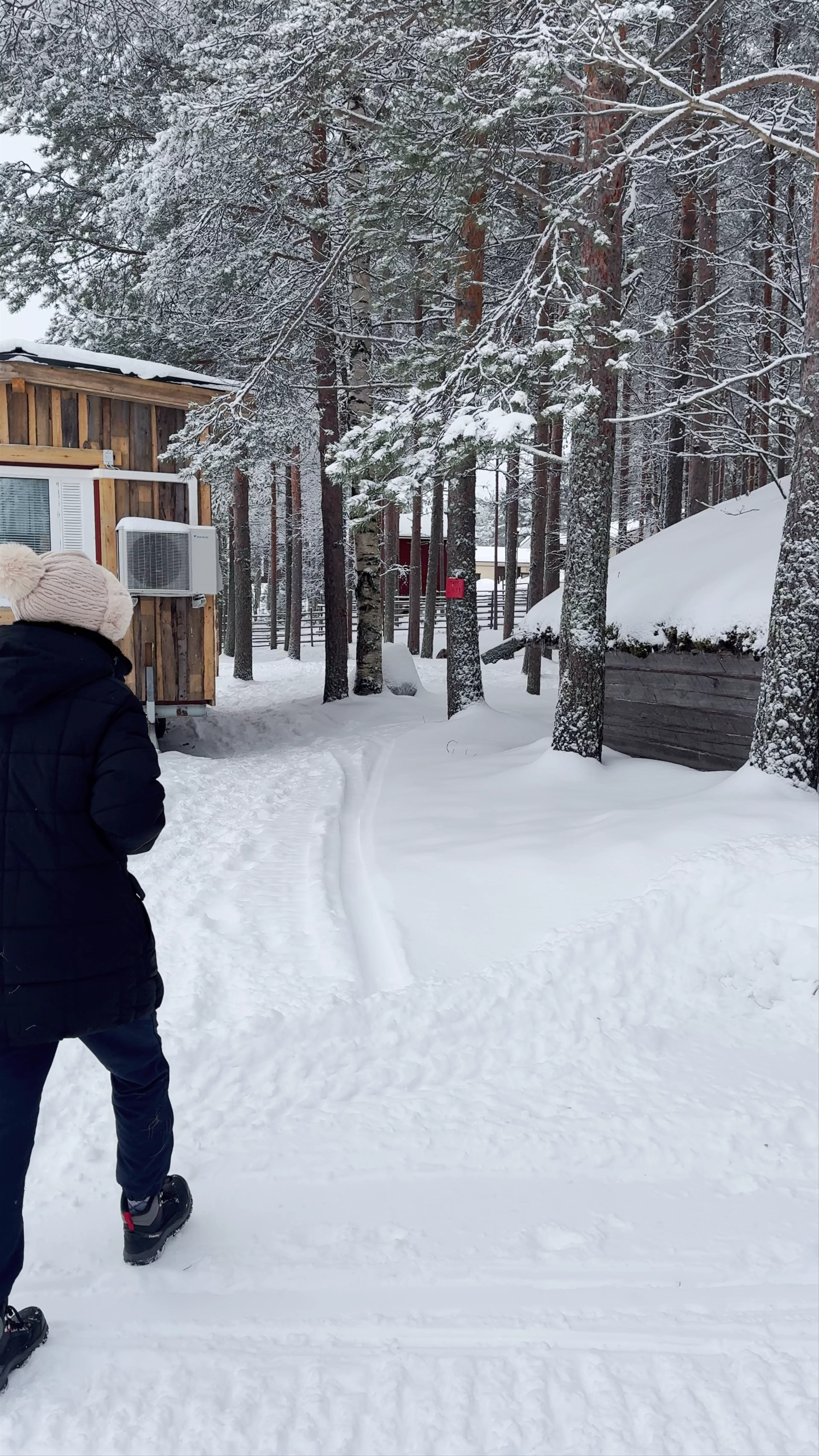 Reindeer safari, Kittilä