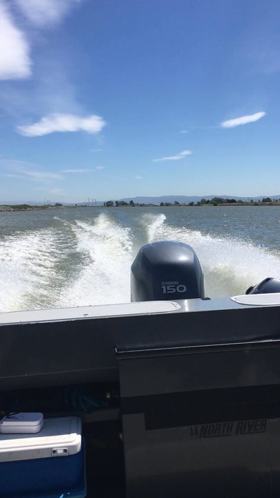 Big Al's Guide Service - Fishing Near Me