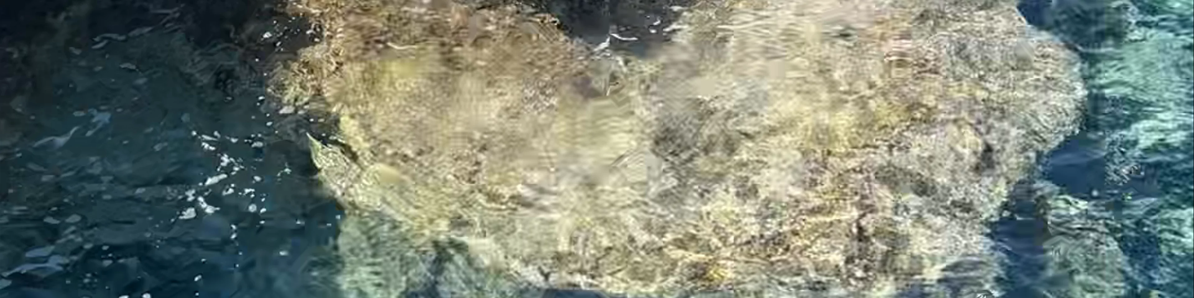 Cape Greco