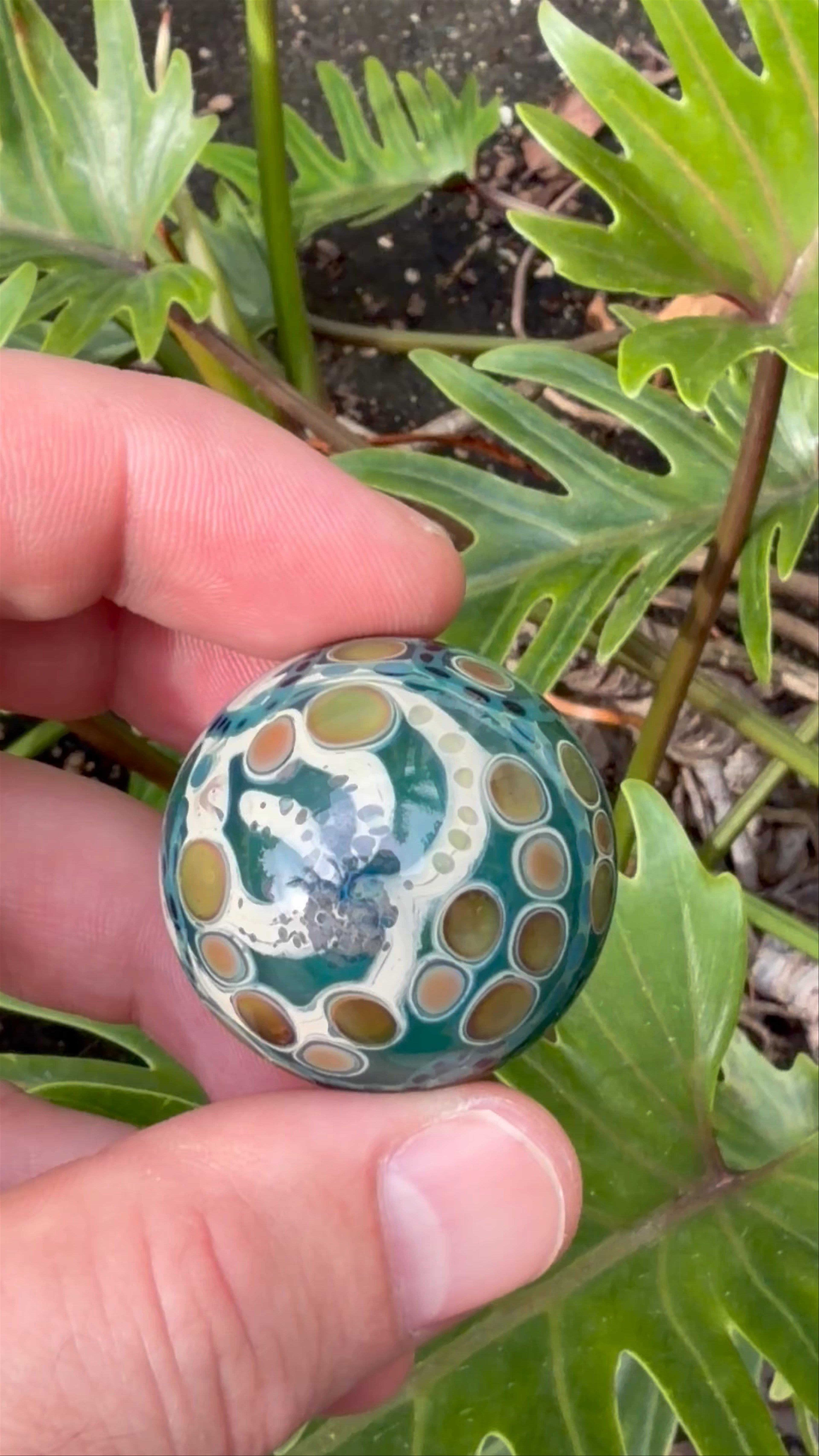 Preview pic of Peter Boyle Marble