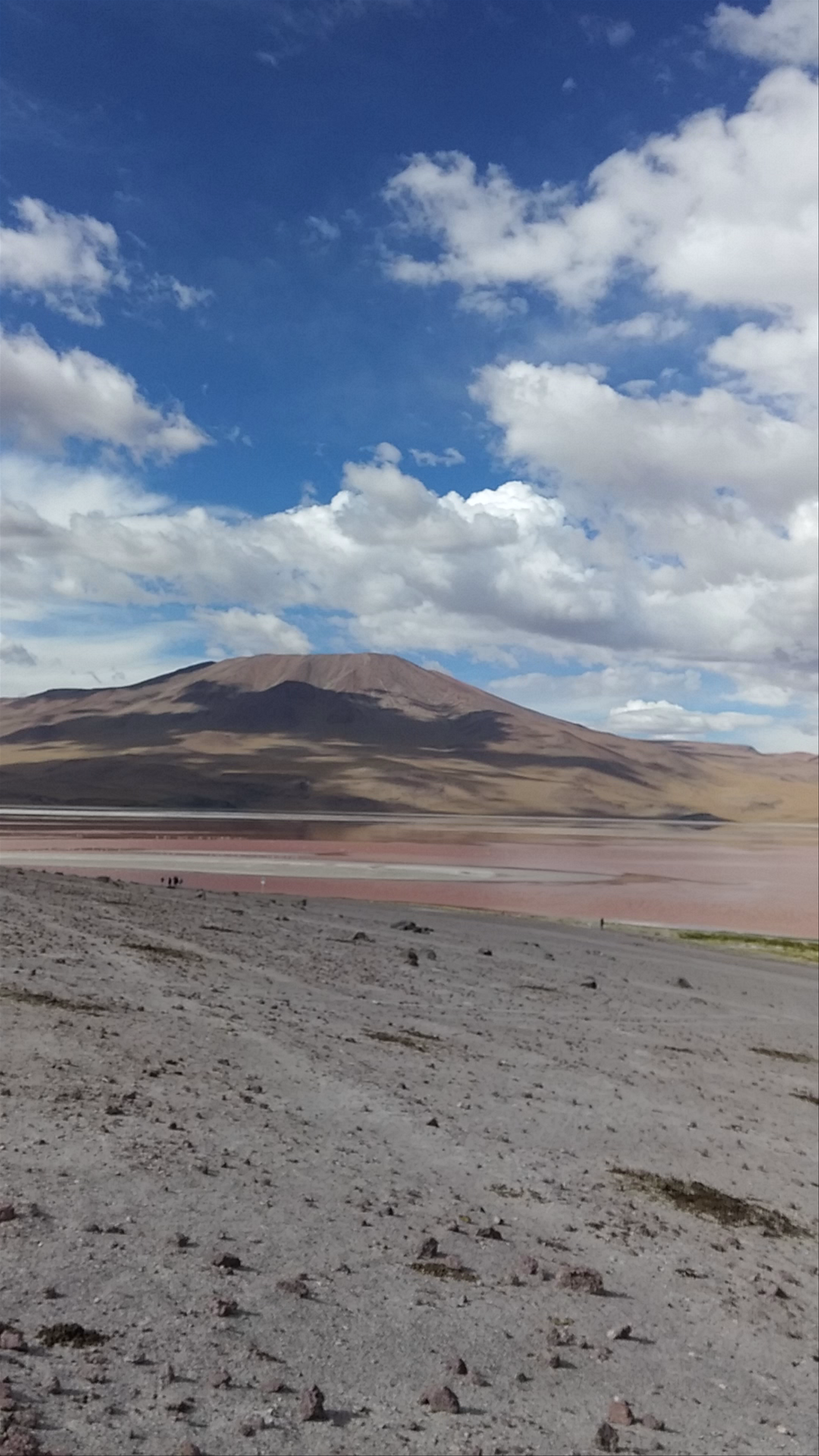 Laguna Colorada: The Enchanting Red Lake of Bolivia