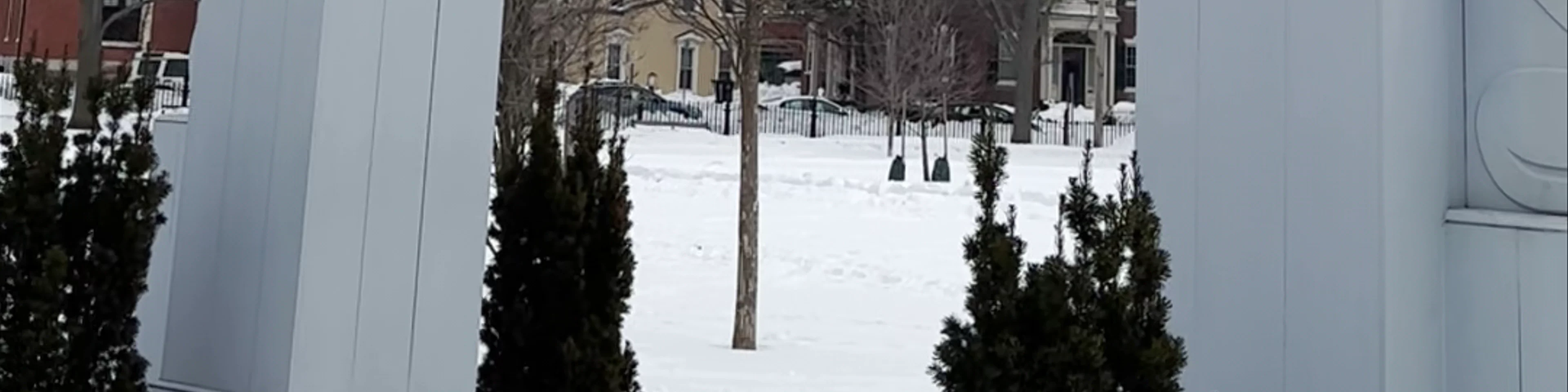 Salem Common