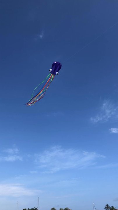 Lake Boca Raton - Mr Purple Dancing in the Sky of Breeze~ - Lakes Near Me - Boca Raton, Florida