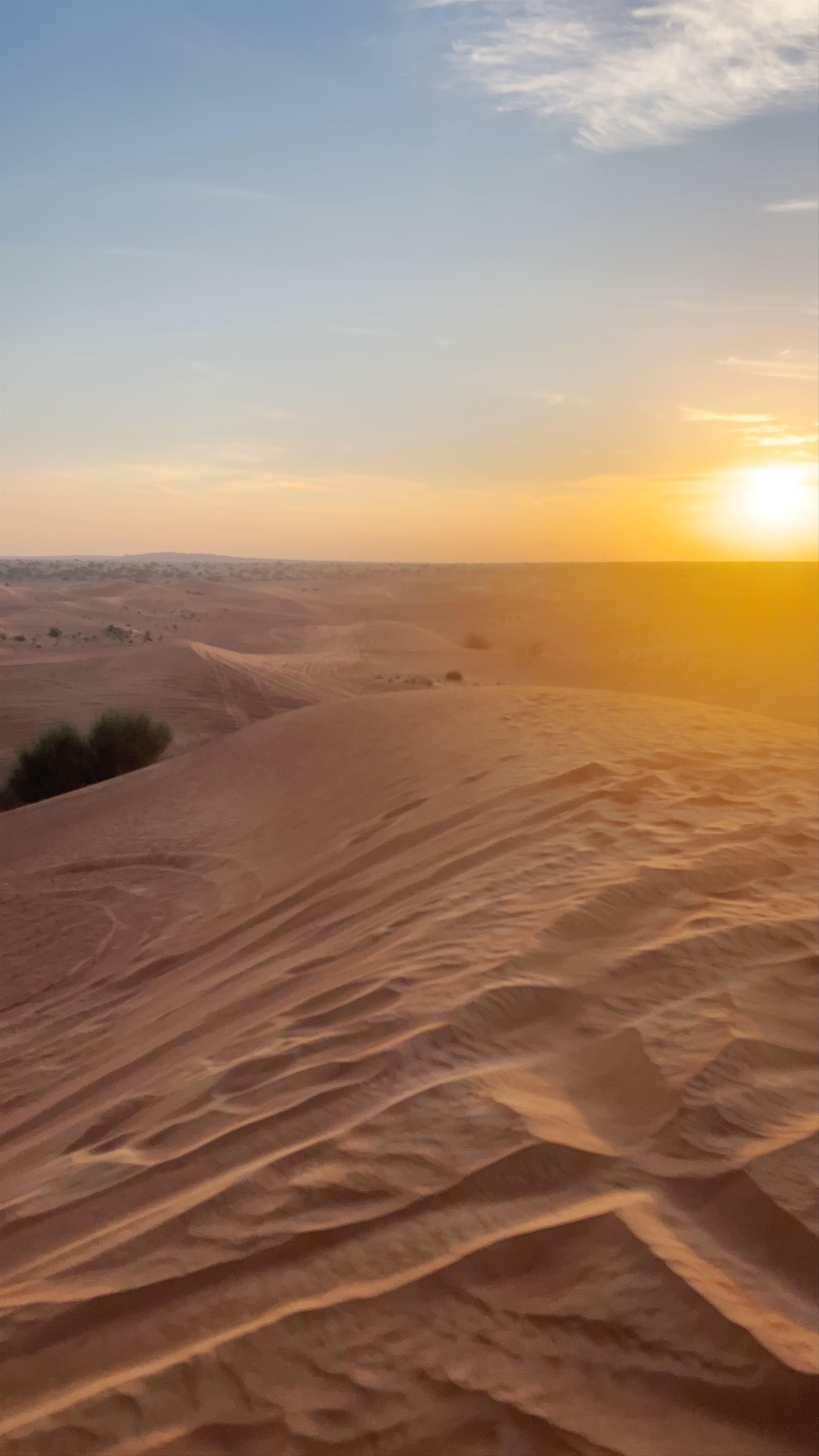 Red Sand Desert Tours - Dubai-Hatta Road - Dubai - United Arab Emirates