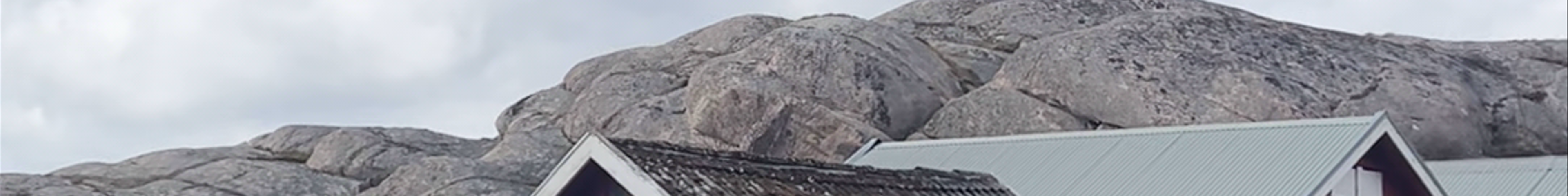 Tours & experiences in Smögen