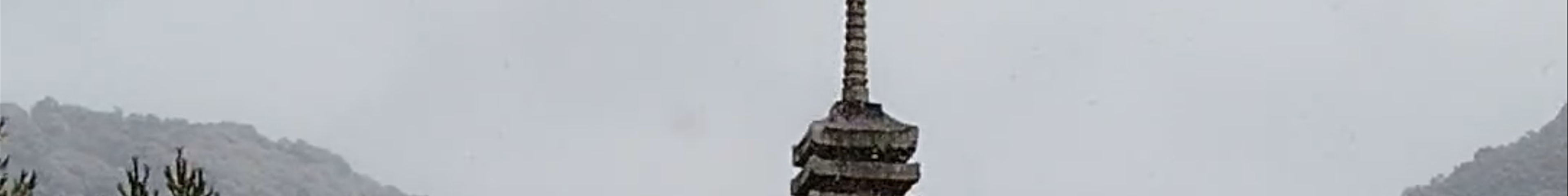 Tours & experiences in Kyoto