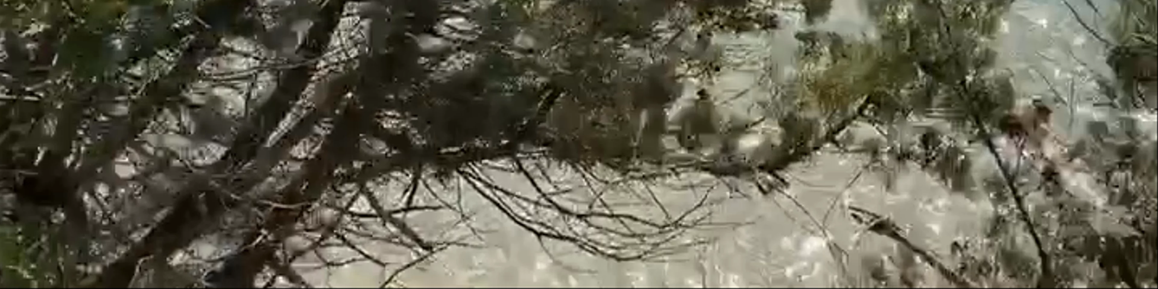Παραλία Μπέλα Βράκα