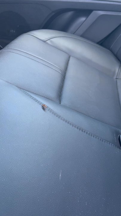 Budget - Multiple LIVE cockroaches in Budget Rental Car - Car Rental Near Me - Las Vegas, Nevada