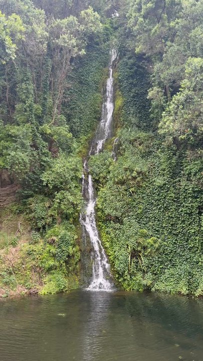Centennial Gardens - Flowing water down a waterfall. - Botanical Gardens Near Me - Napier
