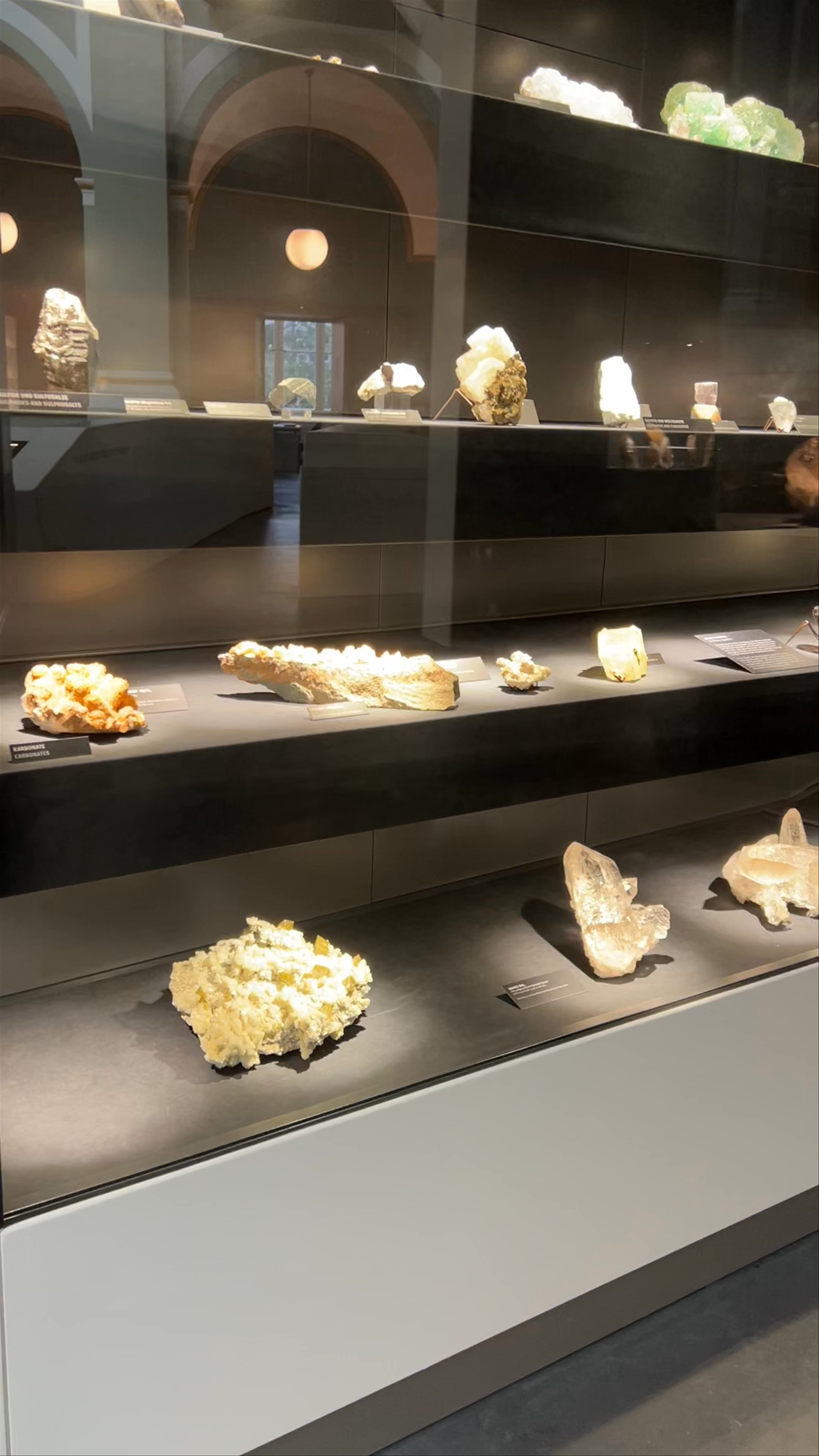 Palaeontological Museum of the University of Zurich