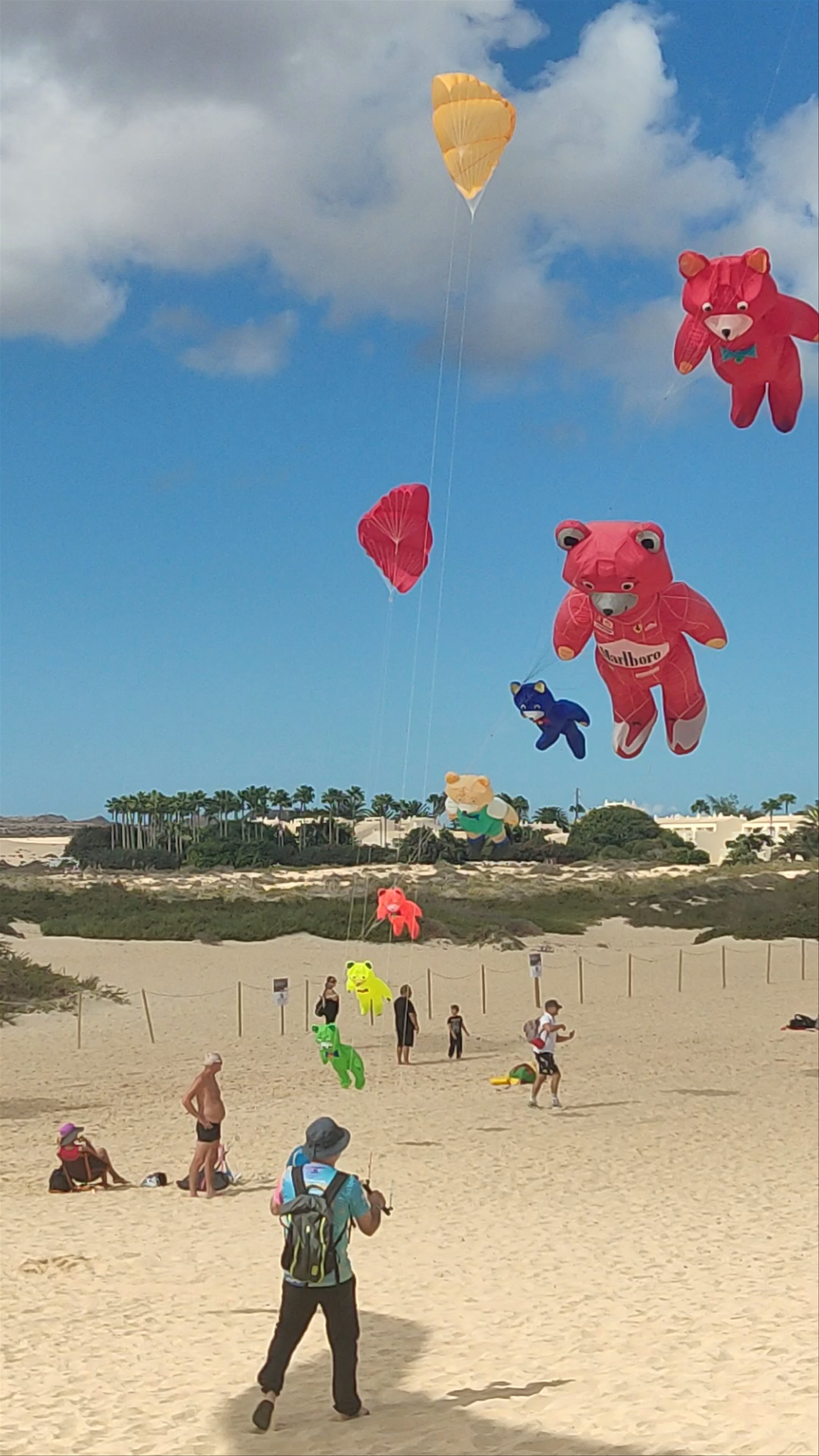 Beaches of Corralejo