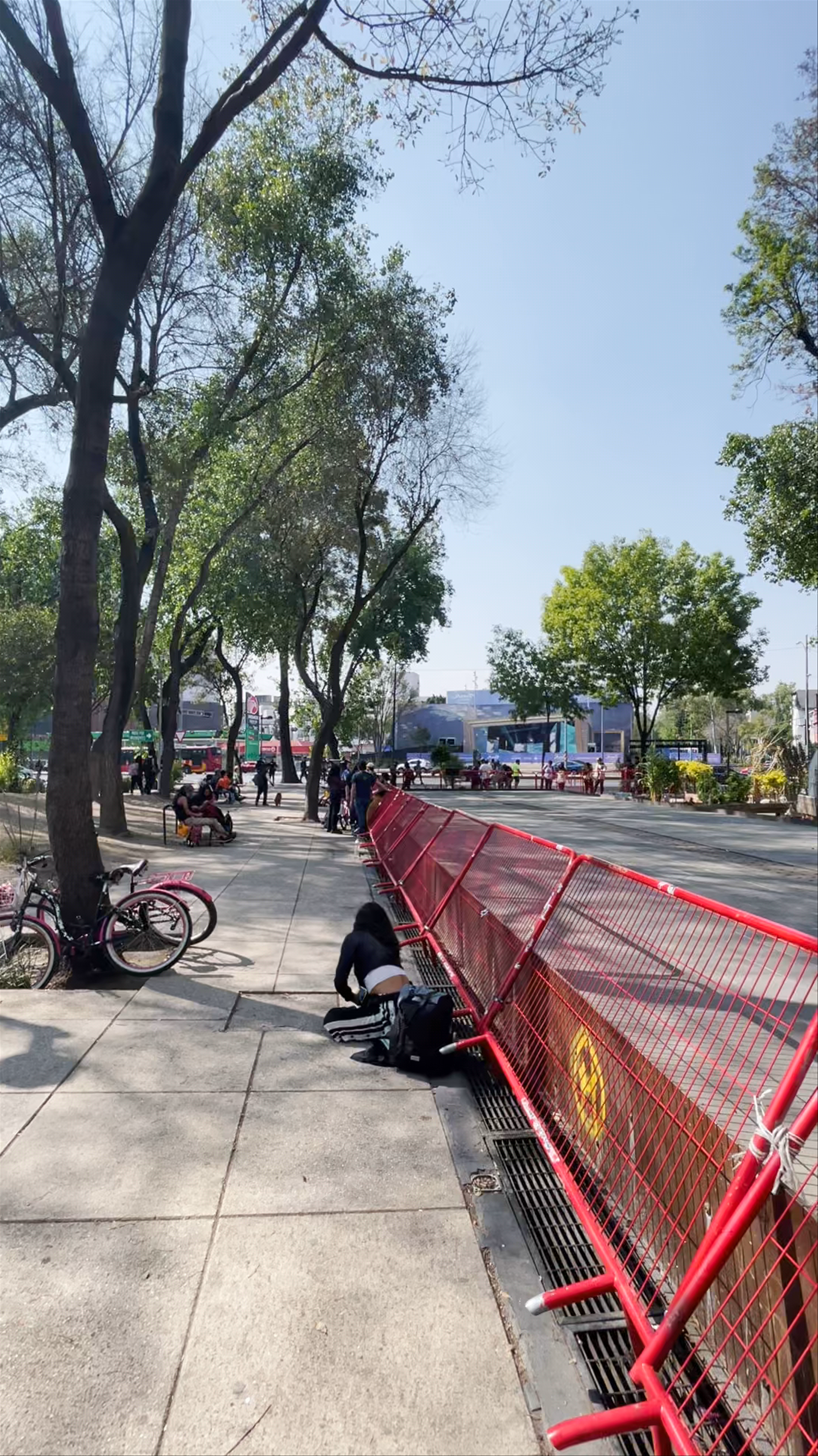 Plantón 420: Urban Vibes and Local Spirit in Juárez, Mexico City