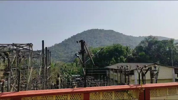 Photo of Cotigao wildlife san