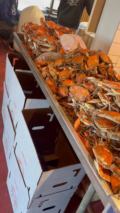 Captain White's Seafood - Seafood Markets Near Me - Oxon Hill, Maryland