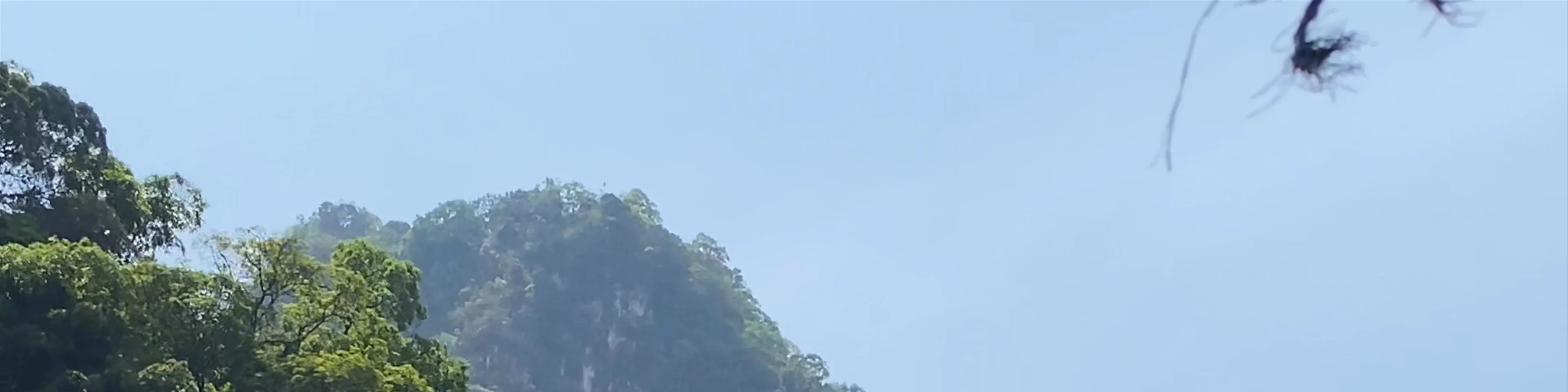 Khao Sok National Park
