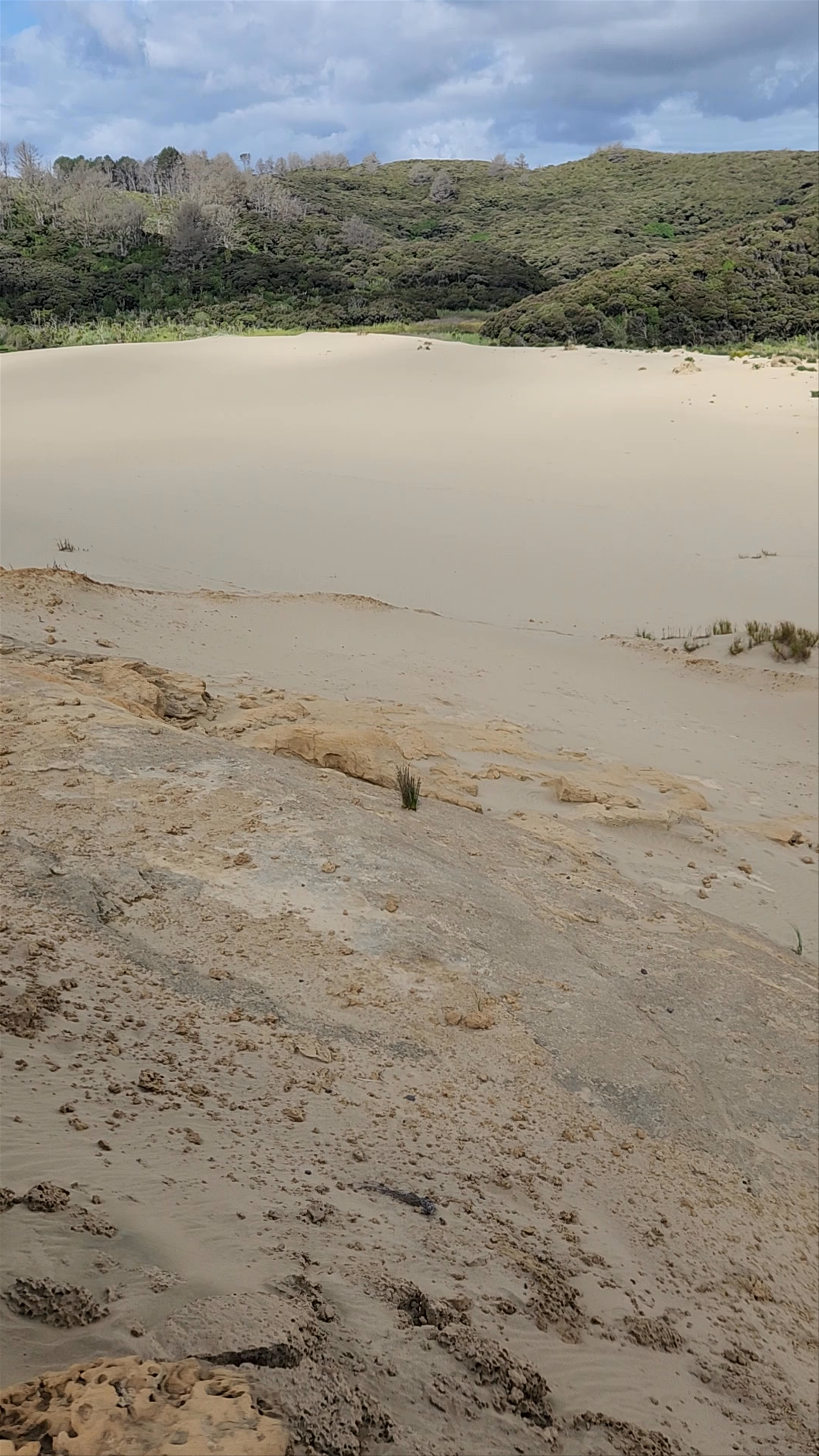 Giant Sand Dunes Te Paki Stream Road