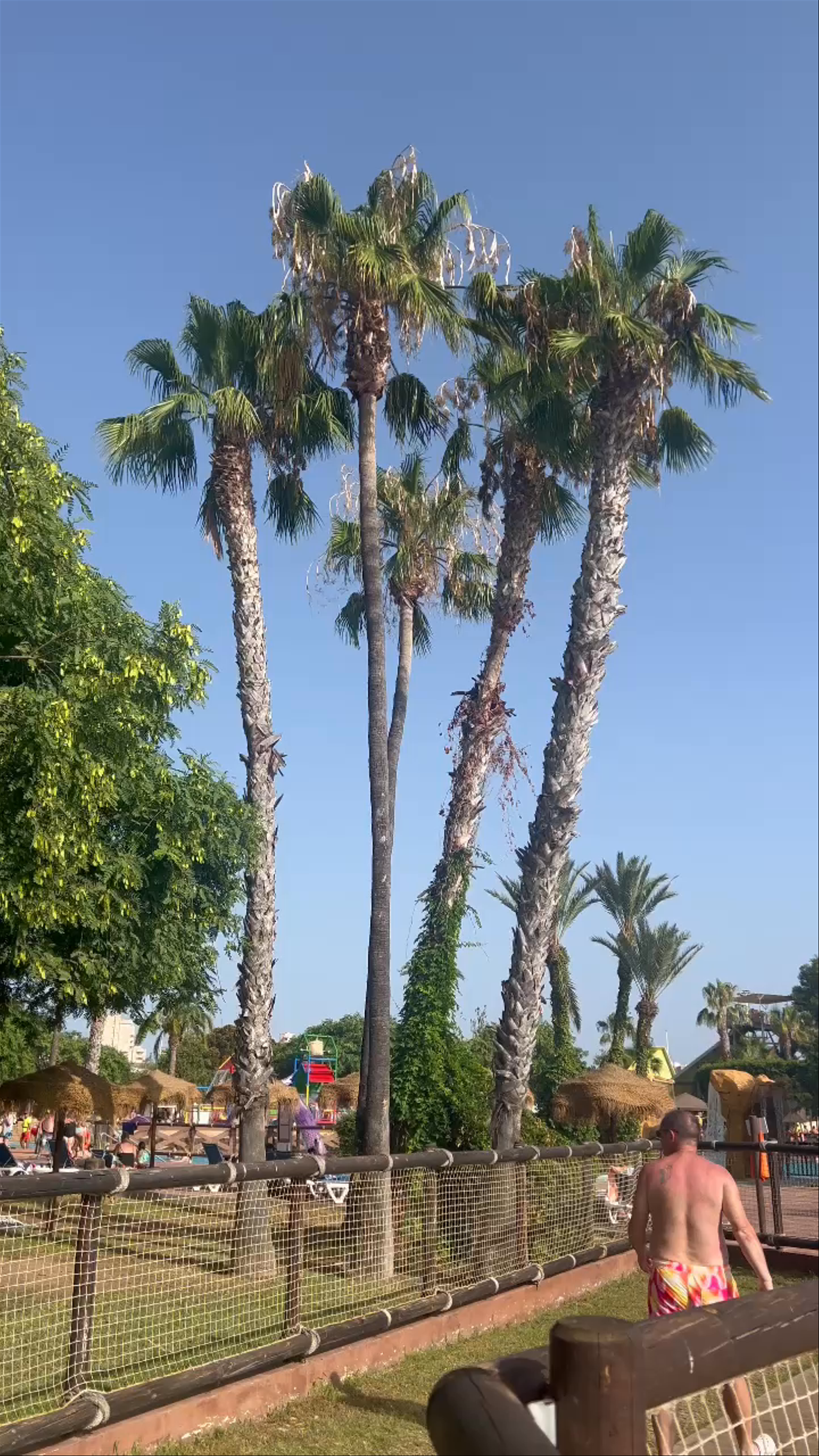 Aquopolis