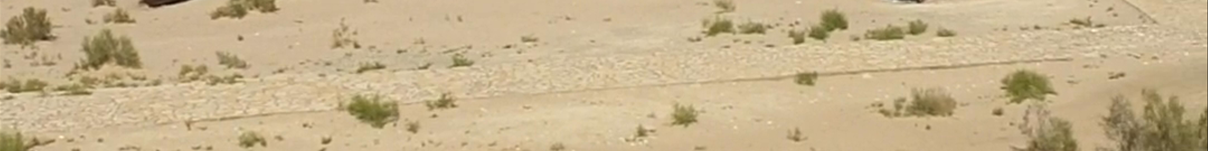 Tours & experiences in Qaraqalpaqstan