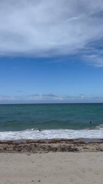 Haulover Park - Beaches Near Me - Miami, Florida
